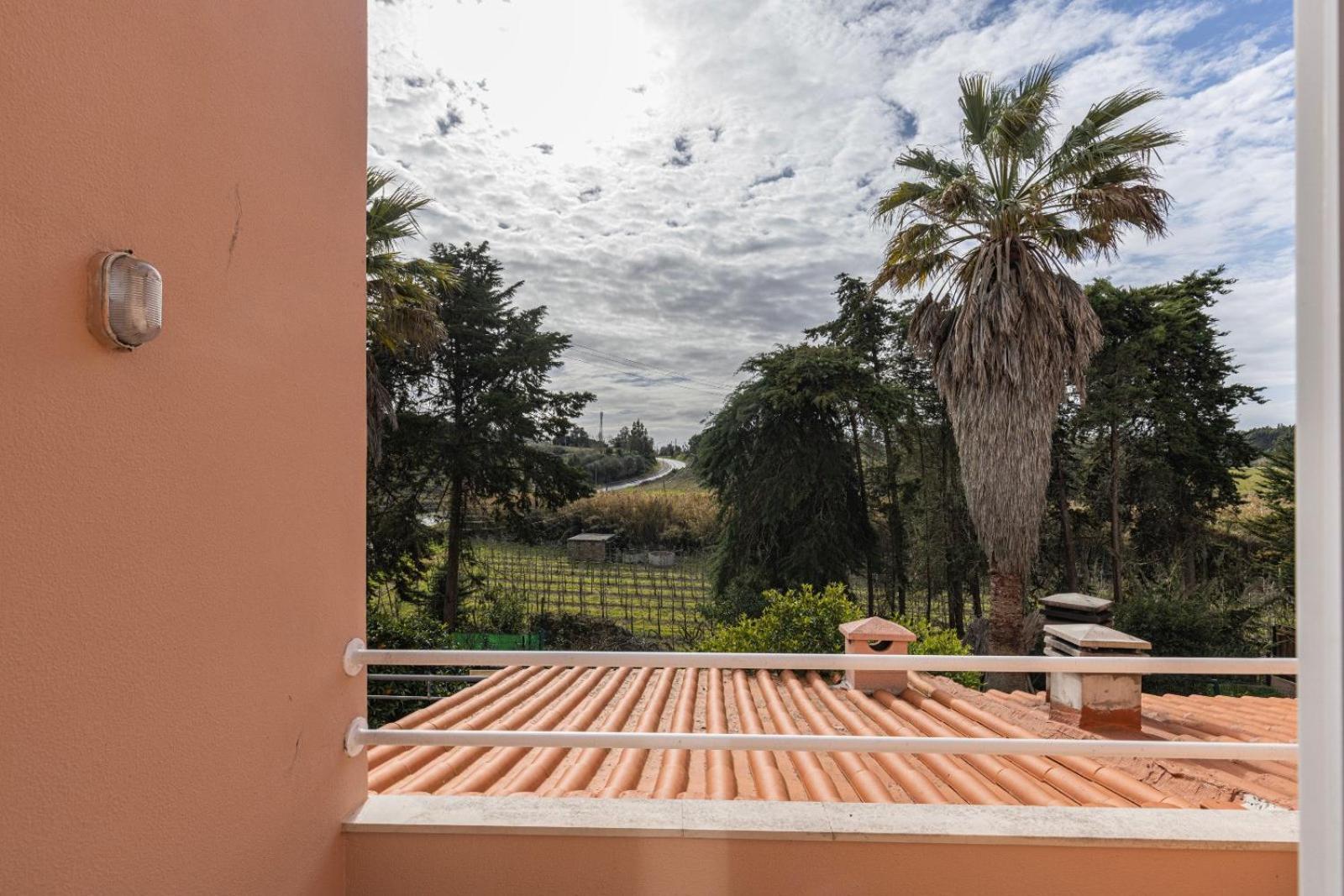 Villa Hidden Garden Near The Castle à Óbidos Extérieur photo